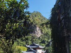-黔灵山公园
