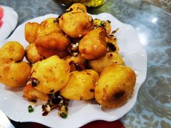 -谭家菜农夫山庄