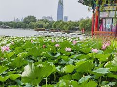 -济南大明湖景区