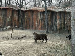 -北京野生动物园