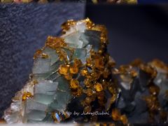 -贵州省地质博物馆