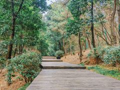 -虞山城墙