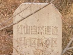 -红山国家森林公园