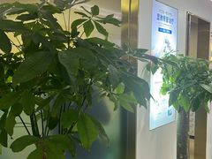 -美可普口腔医院(东街分店)