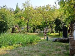 -苏州上方山国家森林公园