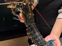 -Oyster Talks 四度蚝法餐厅