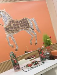 -美肤盾祛痘·问题肌头疗管理中心