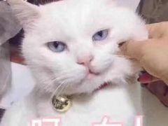 -全家便利店(法华寺街店)