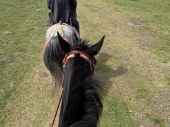 -扁都口生态休闲旅游区