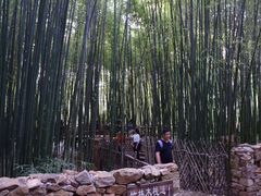 -竹泉村旅游度假区