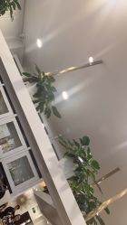 -YESIDO椰岛造型烫发染发
