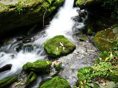 -神农架香溪源景区