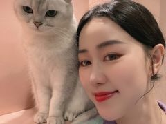 -猫儿山۰猫主题餐厅