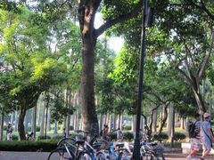 -厦门大学(思明校区)