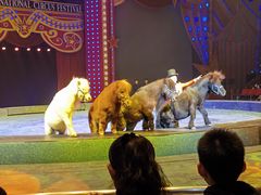 -珠海横琴长隆《卡卡虎奇遇记》