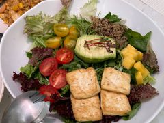 牛油果果蔬沙拉-大树餐厅(红旗街万达店)