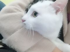 -瑞鹏宠物医院·爱宠堂·骨外专科(西荷分院)