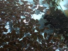 -渔民新村(番禺总店)