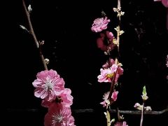 -Love Story爱情故事·养生SPA会所(新侨店)