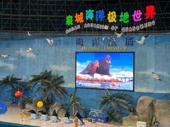 -泉城欧乐堡海洋极地世界