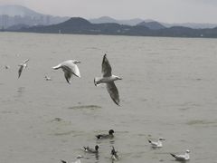 -深圳湾公园(南山区)