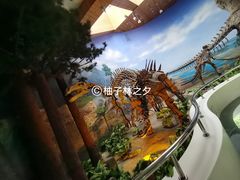 -延庆地质公园博物馆