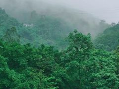 -重庆歌乐山烈士陵园