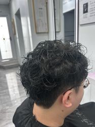 -镁连社·美联社