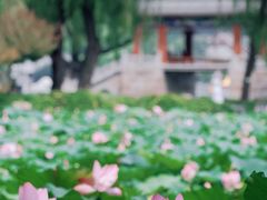 -颐和园