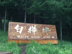 -木兰围场