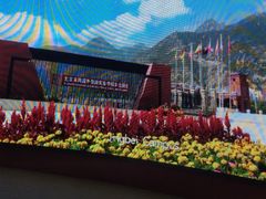 -北京市海淀外国语实验学校