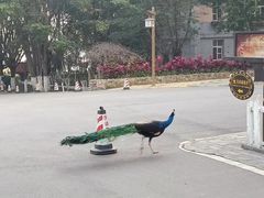 -西昌邛海宾馆