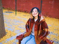 -三里屯东五街银杏大道