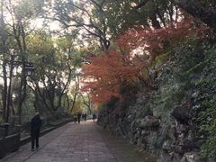-吴山景区