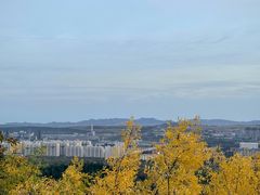 -红山国家森林公园