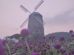 -玫瑰海岸文化旅游度假区