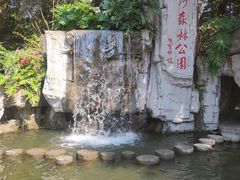 -广州市流溪河国家森林公园