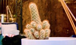 店内环境-新肤洗纹身