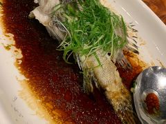 清蒸小石斑-顺德了能馆(虎门店)