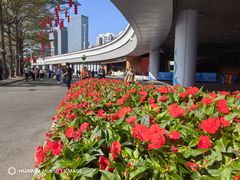 -海心沙亚运公园