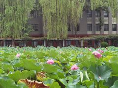 -四川大学(望江校区)