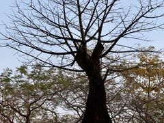 -南国桃园旅游度假区