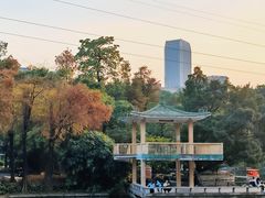 -晓港公园