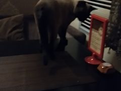 -吱咖啡西式简餐