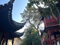 -东山雕花楼