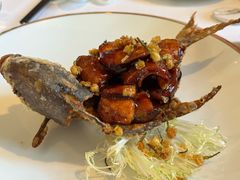 茉莉花熏鲳鱼-宝丽轩中餐厅BAOLIXUAN