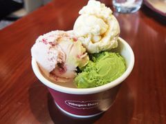 哈根达斯冰淇淋-一本魅·日式料理