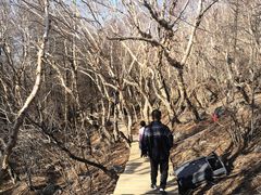 -白草畔自然风景区