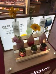 -茱莉蔻