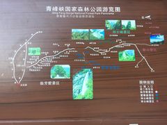 -青峰峡国家森林公园